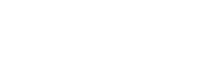 Vesta Settlements_logo_white