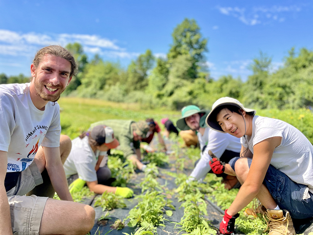 photo of people working at A Farm Less Ordinary